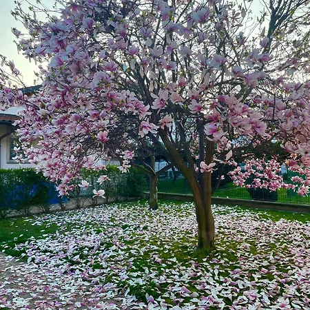 Serenity Garden Stupinigi